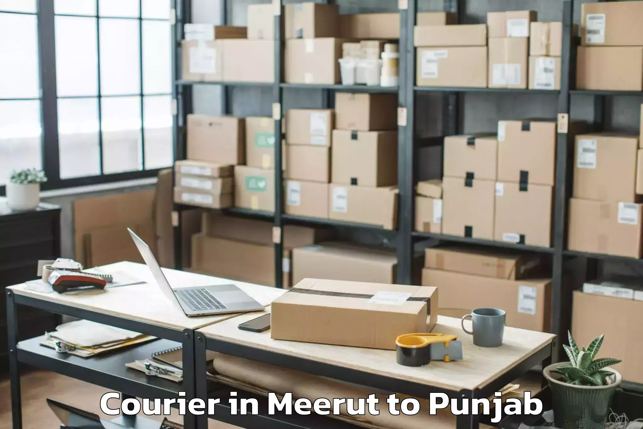 Book Meerut to Moga Courier Online